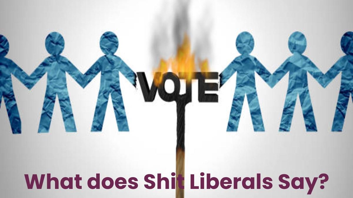 What does Shit Liberals Say?