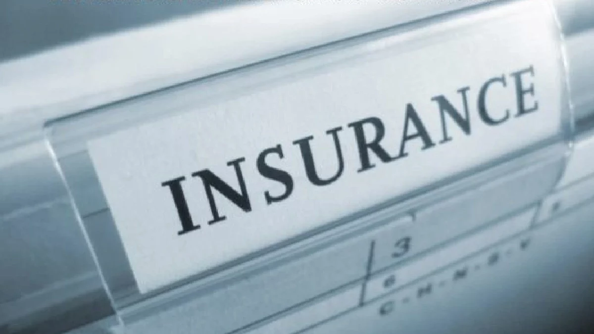 What is an Insurance Carrier?